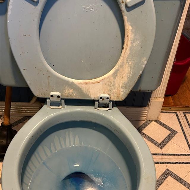 Toilet before cleaning